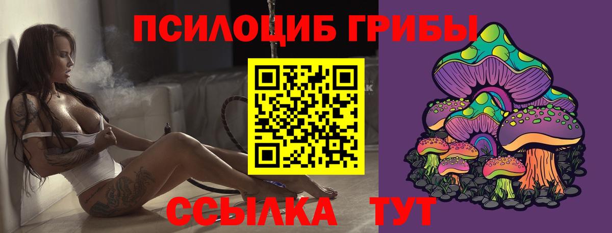 Кострома  Галлюциногенные грибы мицелий  Вход с VPN 