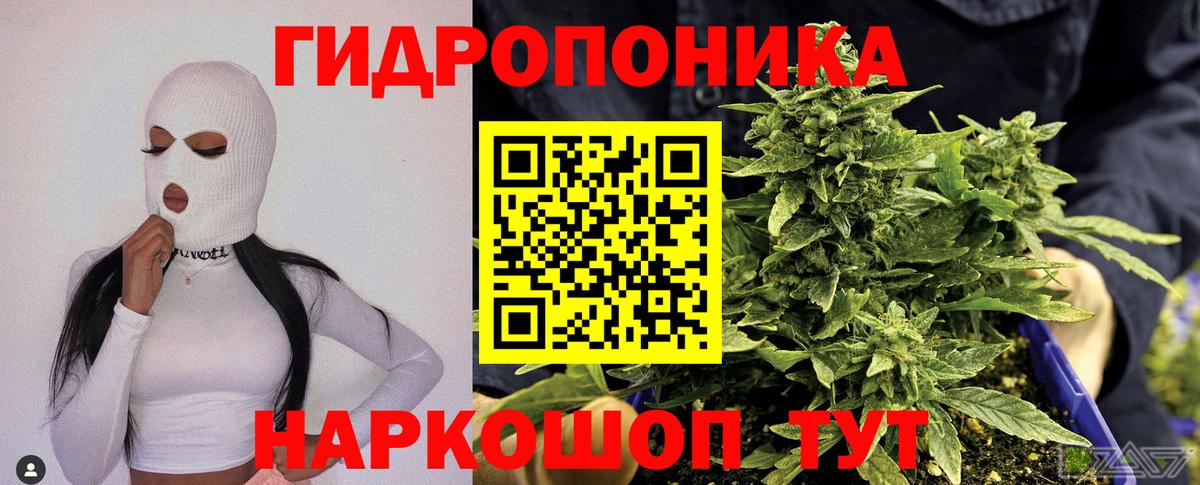 Бошки Шишки индика  Вход с VPN  Марихуана Amnesia  Кострома  МАРИХУАНА индика 